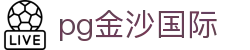pg金沙国际 - 极致流畅，释放你的每一个大招